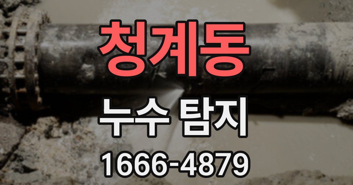 청계동 누수 탐지