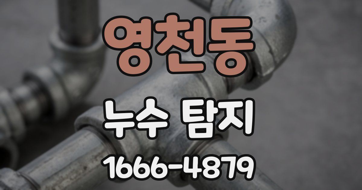 영천동 누수 탐지