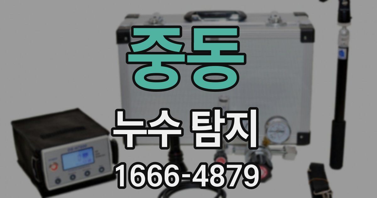 중동 누수 탐지