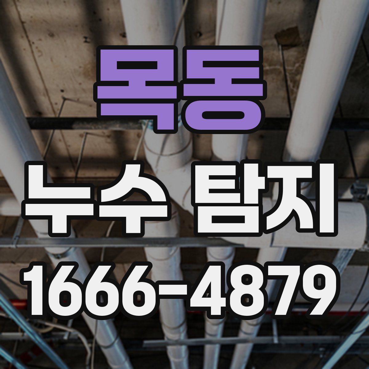 목동 누수 탐지