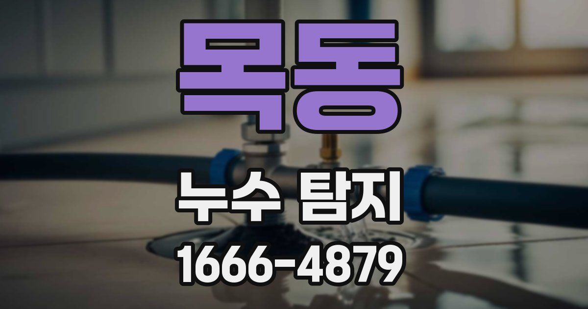목동 누수 탐지
