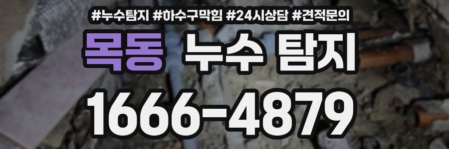 목동 누수 탐지