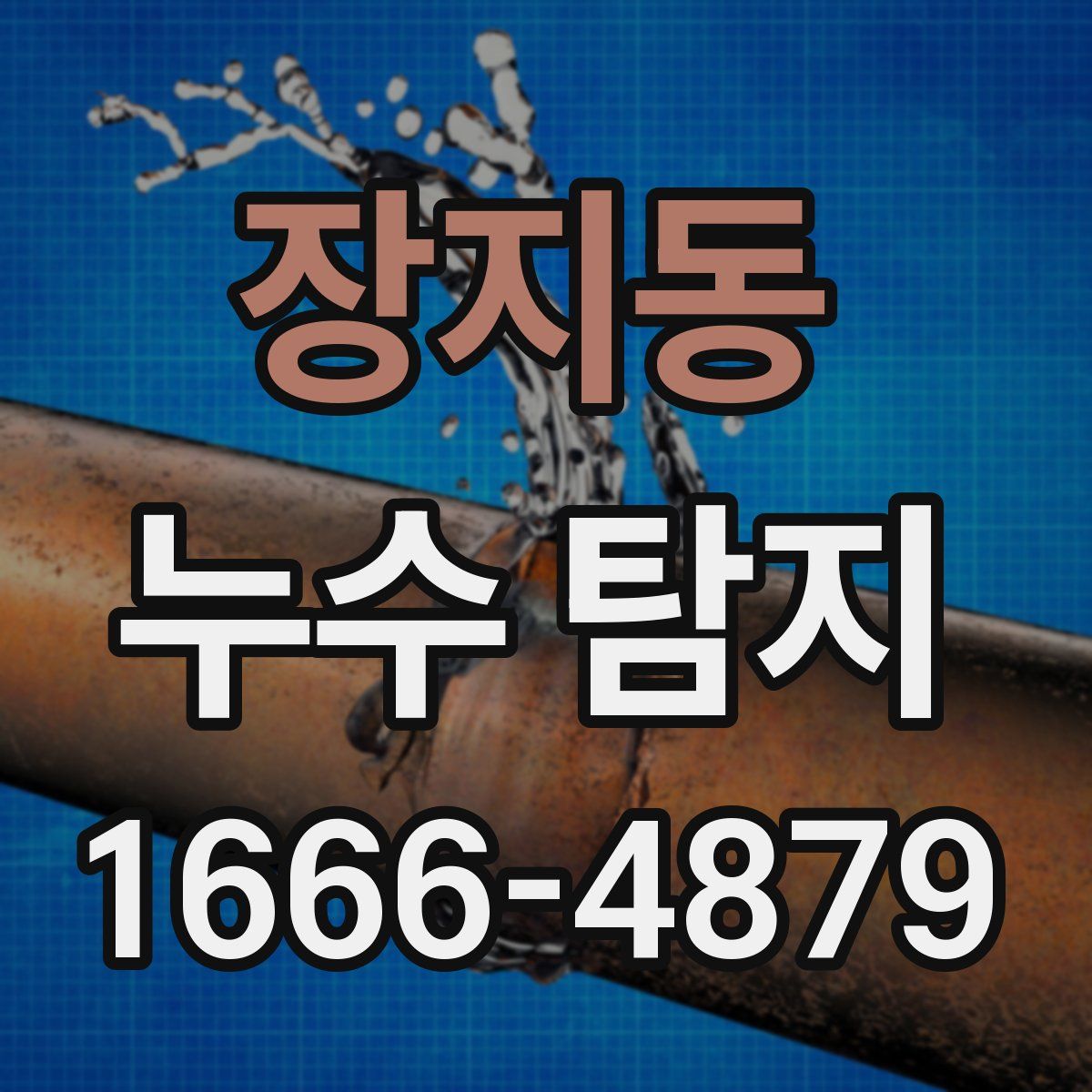 장지동 누수 탐지