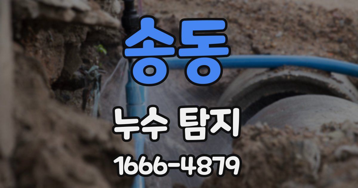 송동 누수 탐지