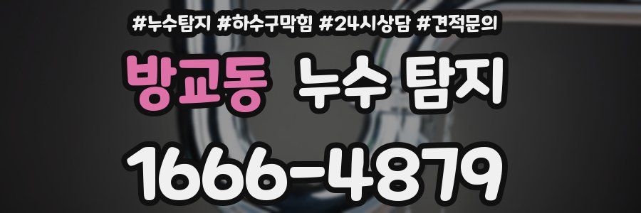 방교동 누수 탐지