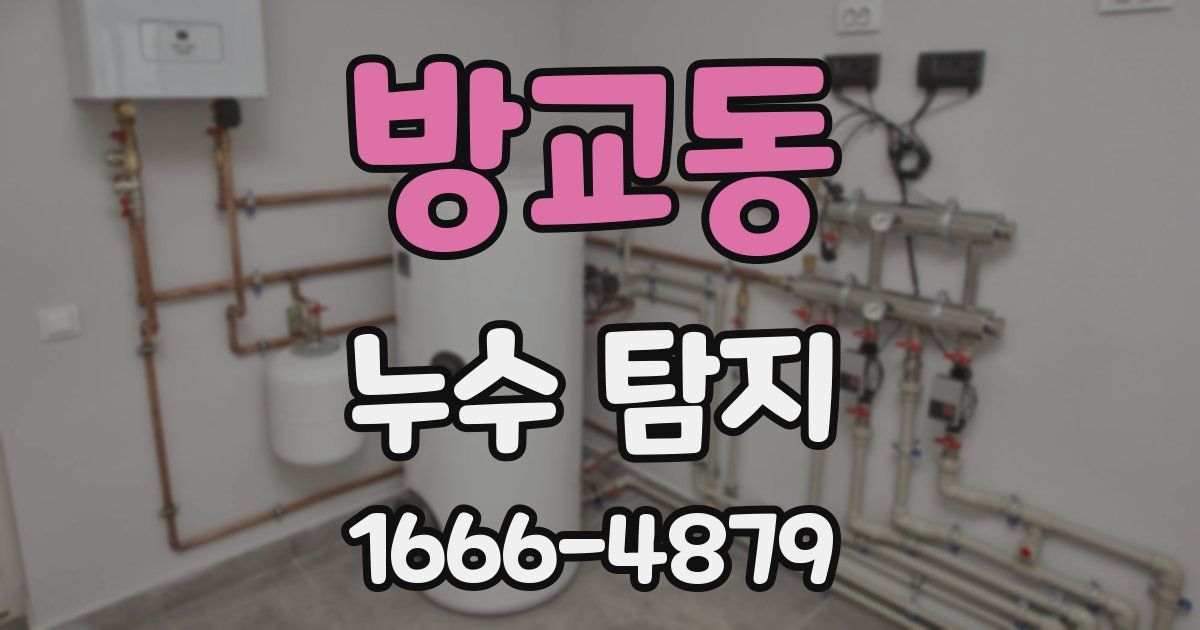 방교동 누수 탐지