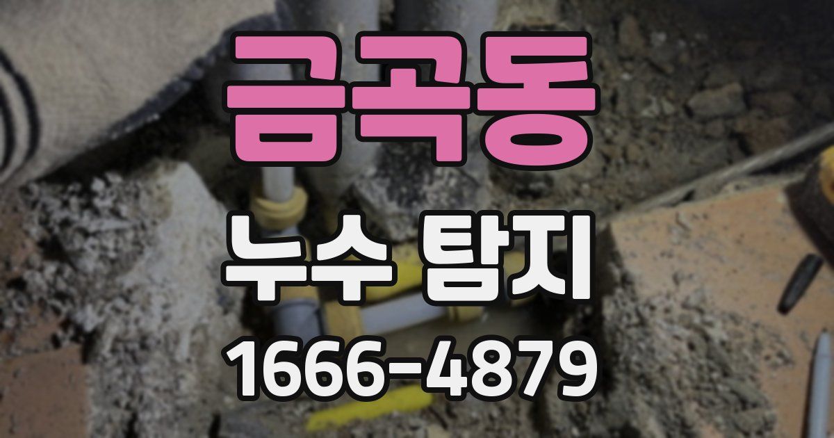 금곡동 누수 탐지