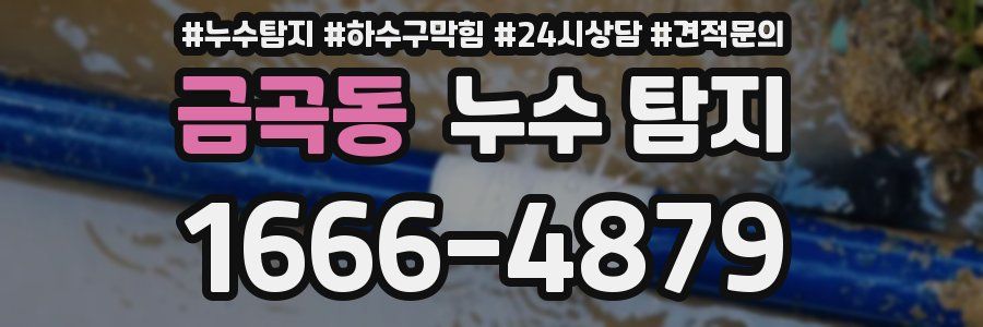 금곡동 누수 탐지