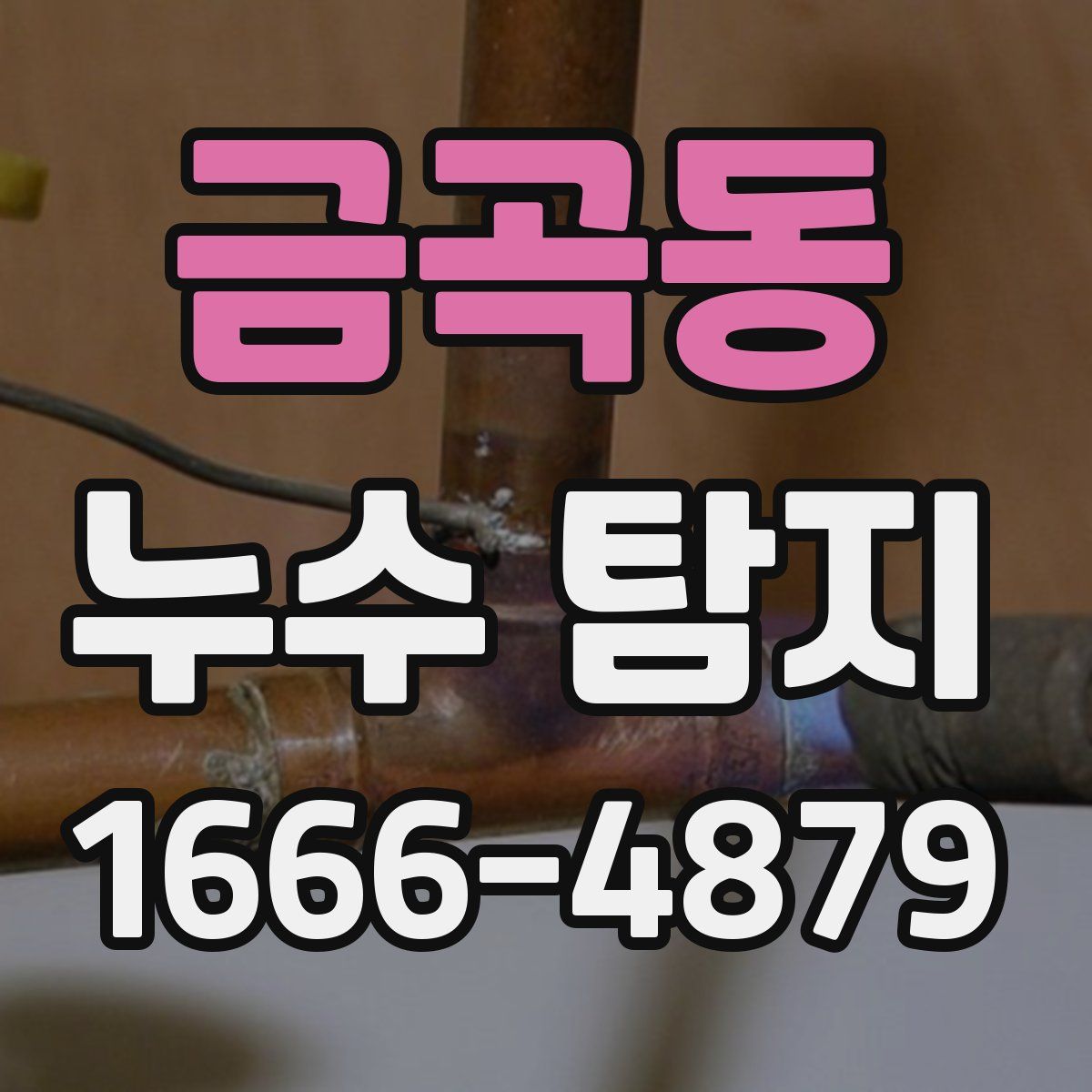 금곡동 누수 탐지