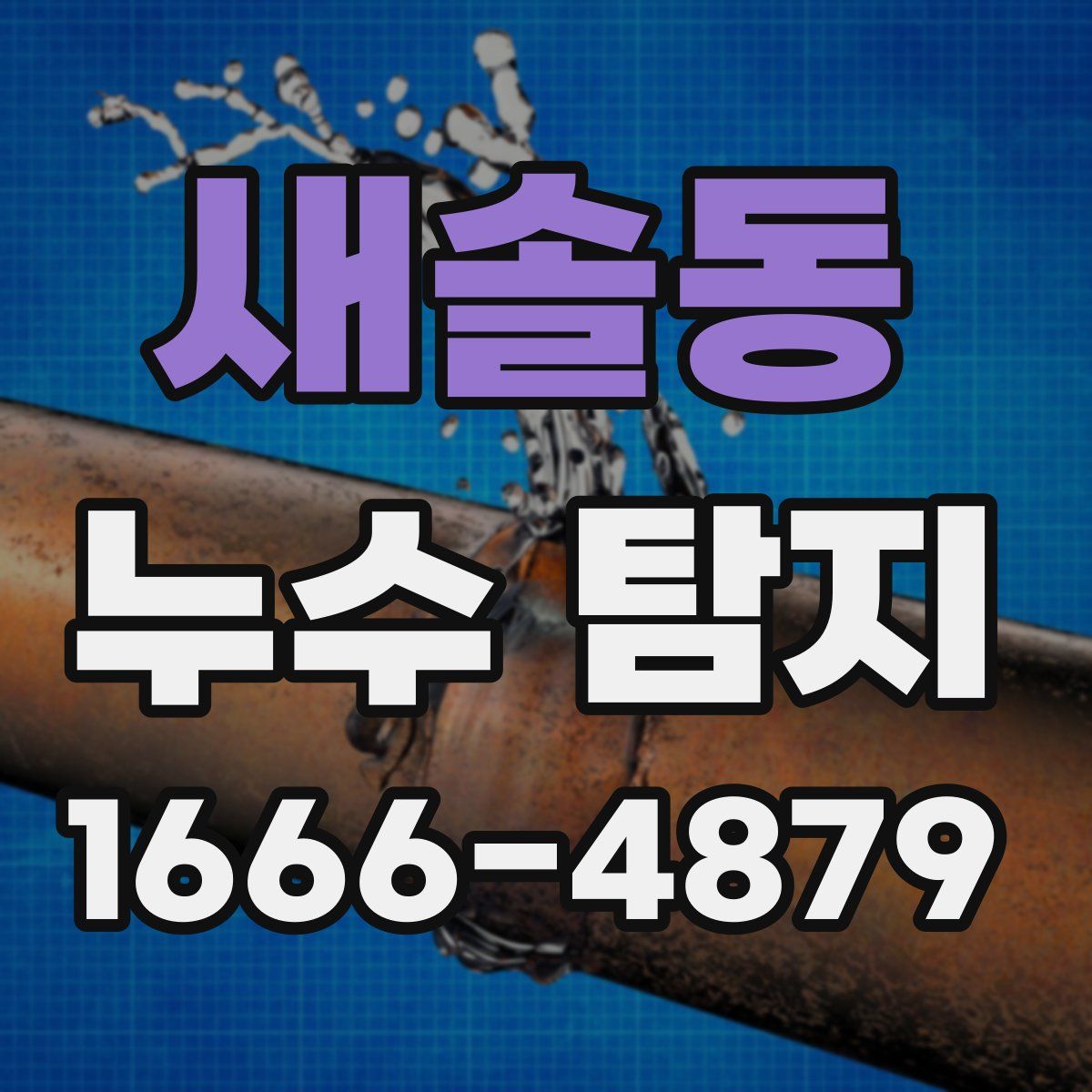 새솔동 누수 탐지