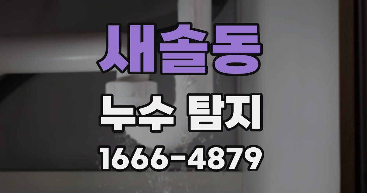 새솔동 누수 탐지