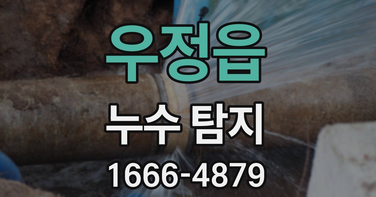 우정읍 누수 탐지