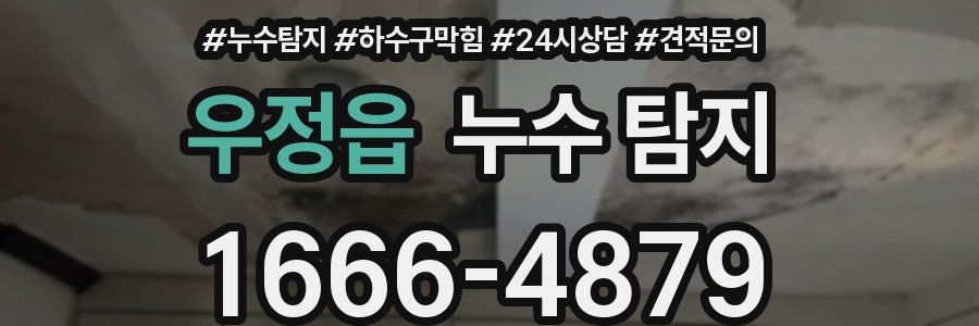 우정읍 누수 탐지