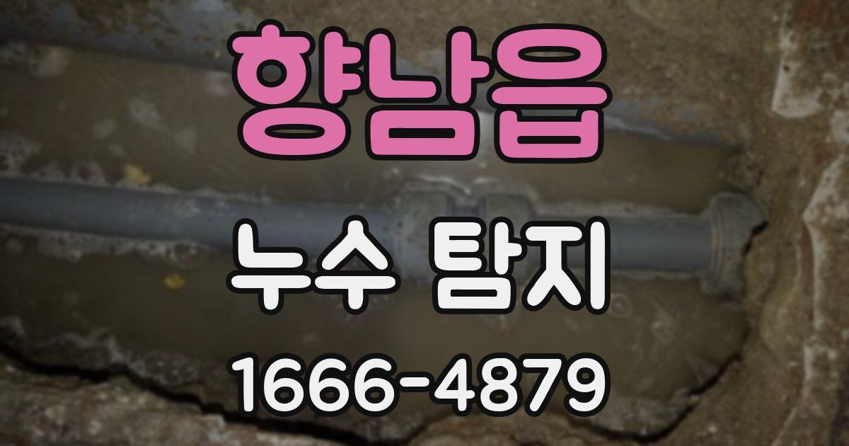 향남읍 누수 탐지