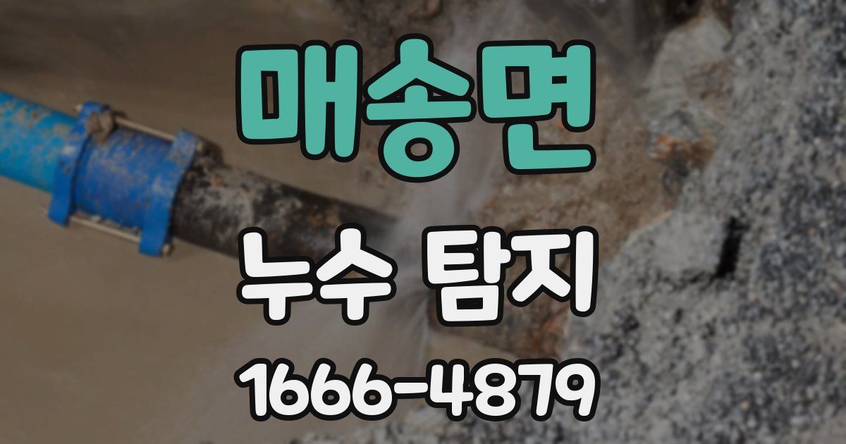 매송면 누수 탐지