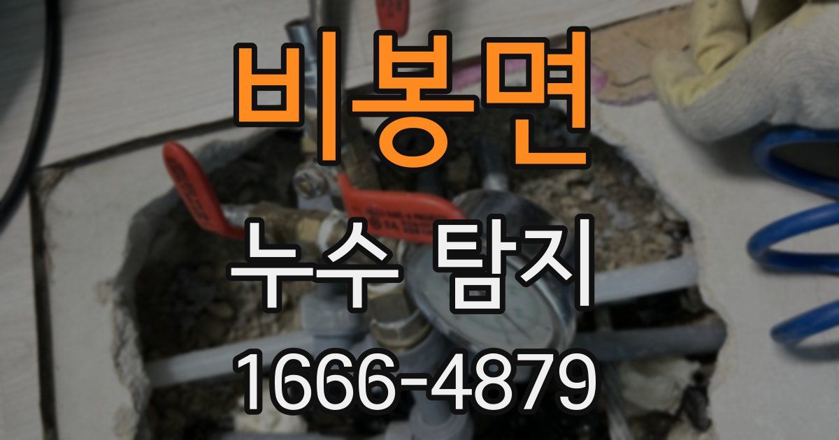 비봉면 누수 탐지