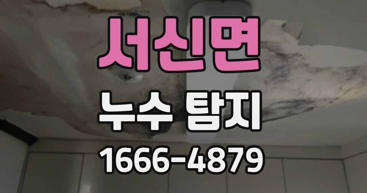 서신면 누수 탐지