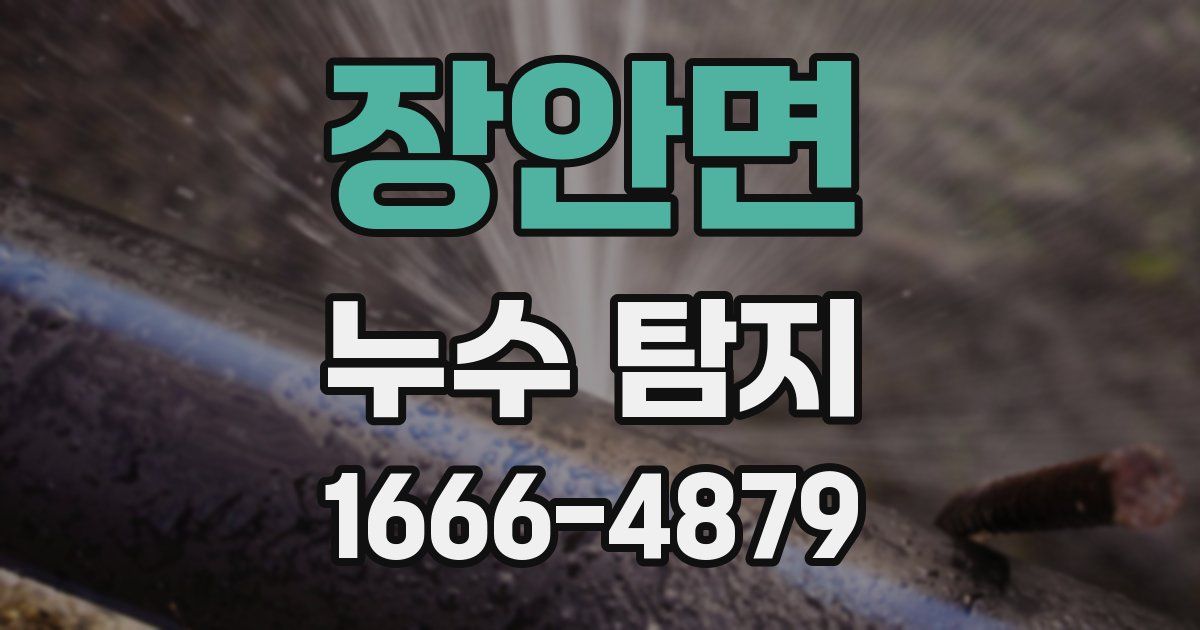 장안면 누수 탐지