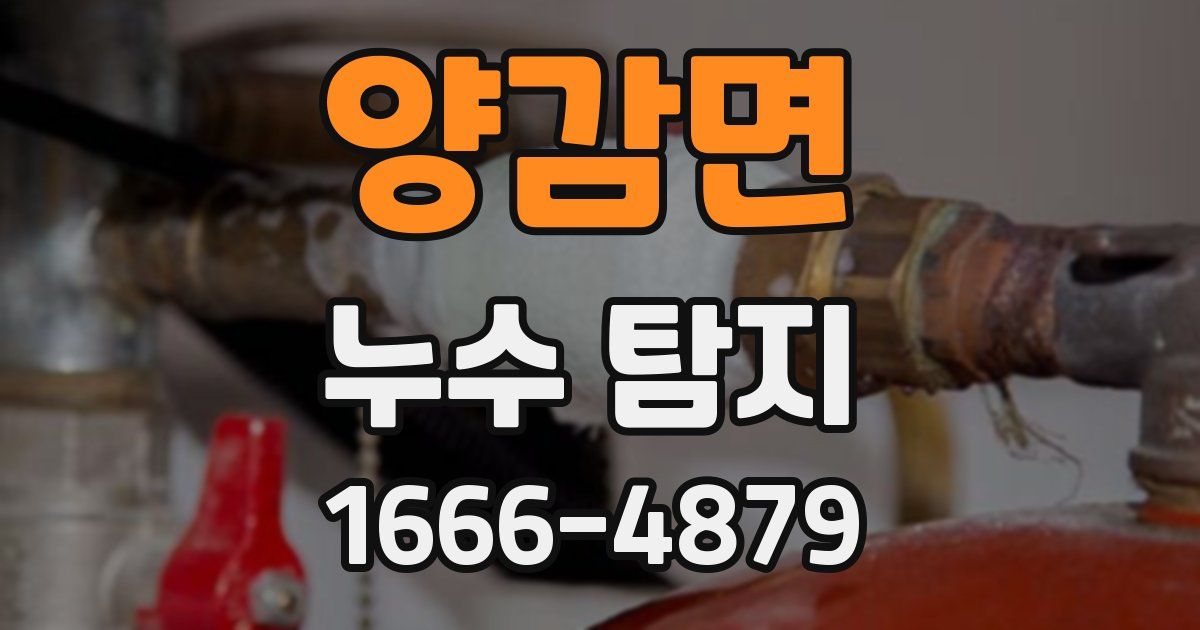 양감면 누수 탐지