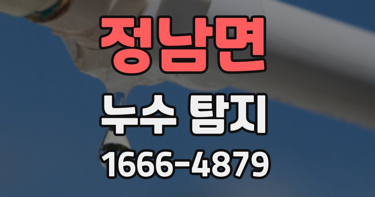 정남면 누수 탐지