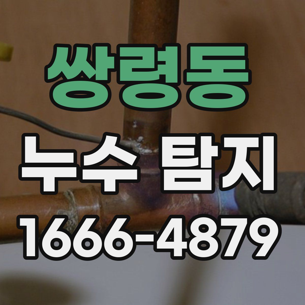 쌍령동 누수 탐지
