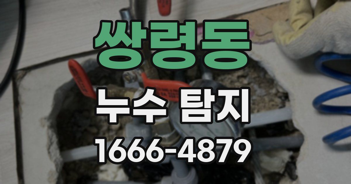 쌍령동 누수 탐지
