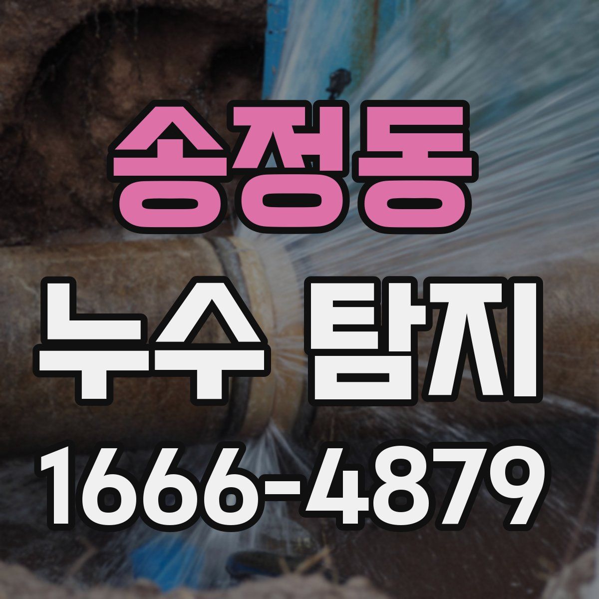 송정동 누수 탐지