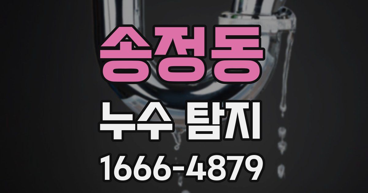 송정동 누수 탐지