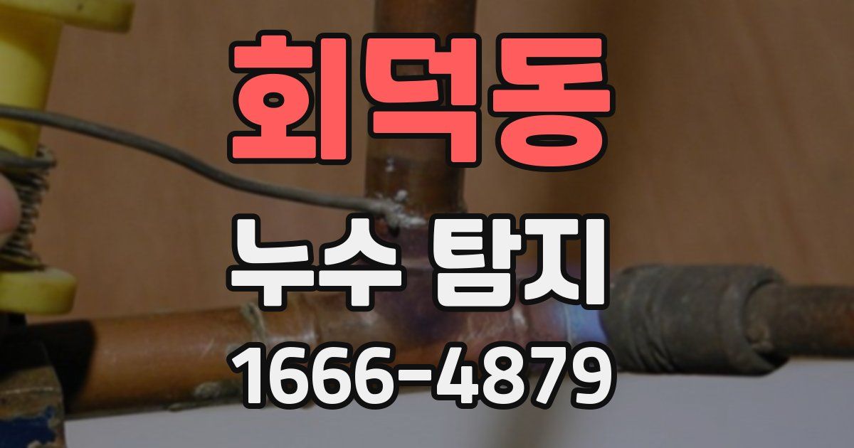 회덕동 누수 탐지