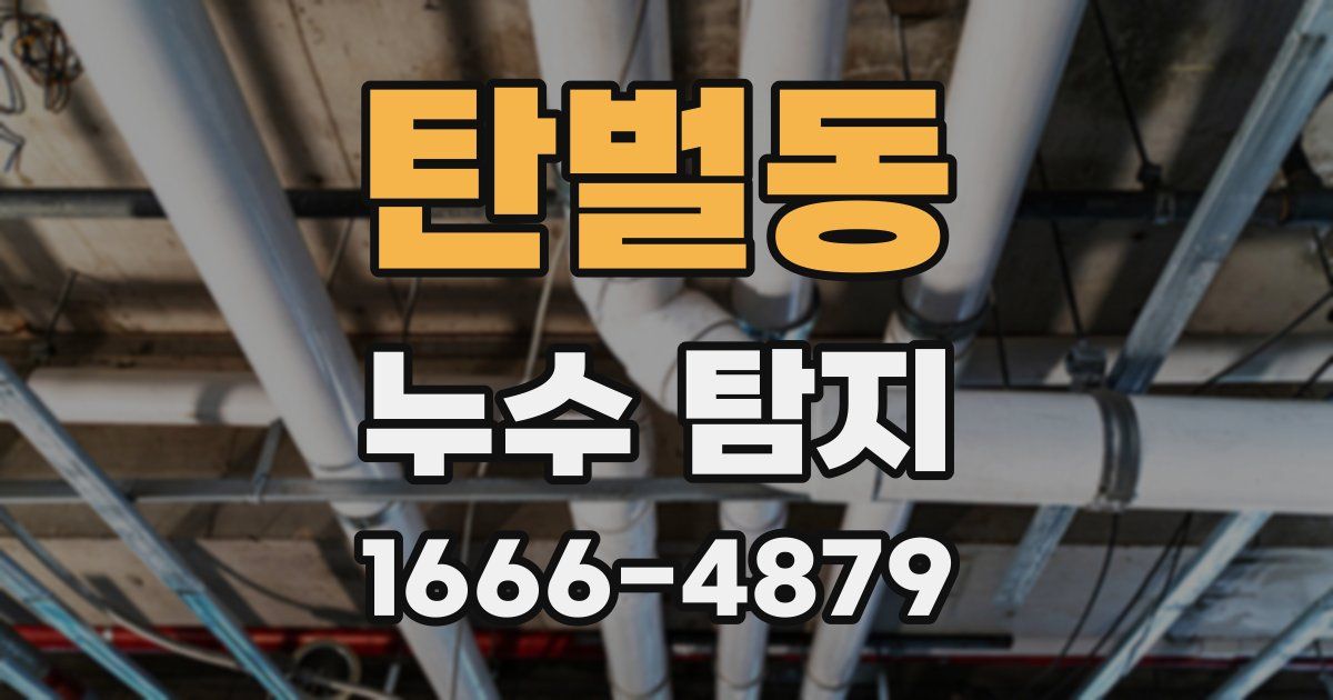 탄벌동 누수 탐지