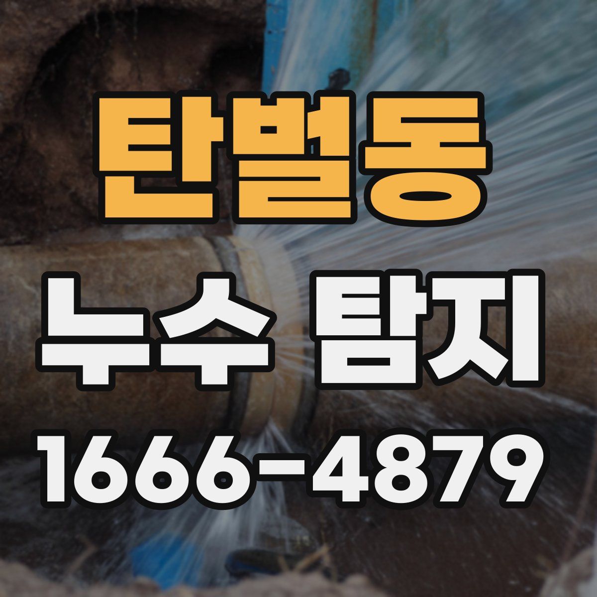 탄벌동 누수 탐지