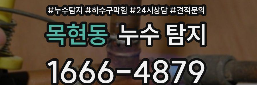 목현동 누수 탐지