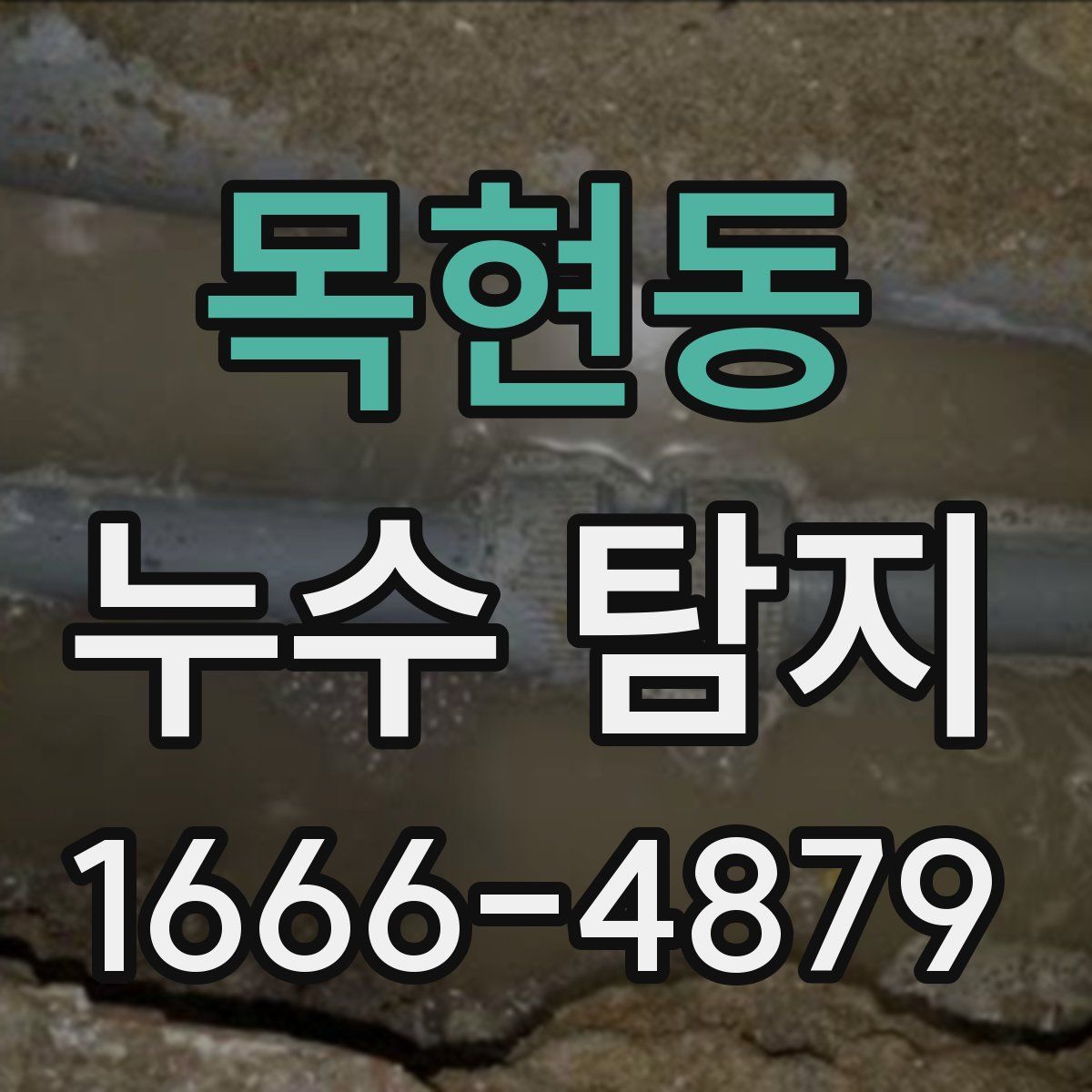 목현동 누수 탐지