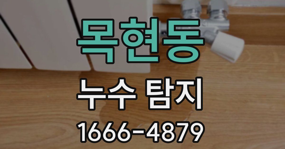 목현동 누수 탐지