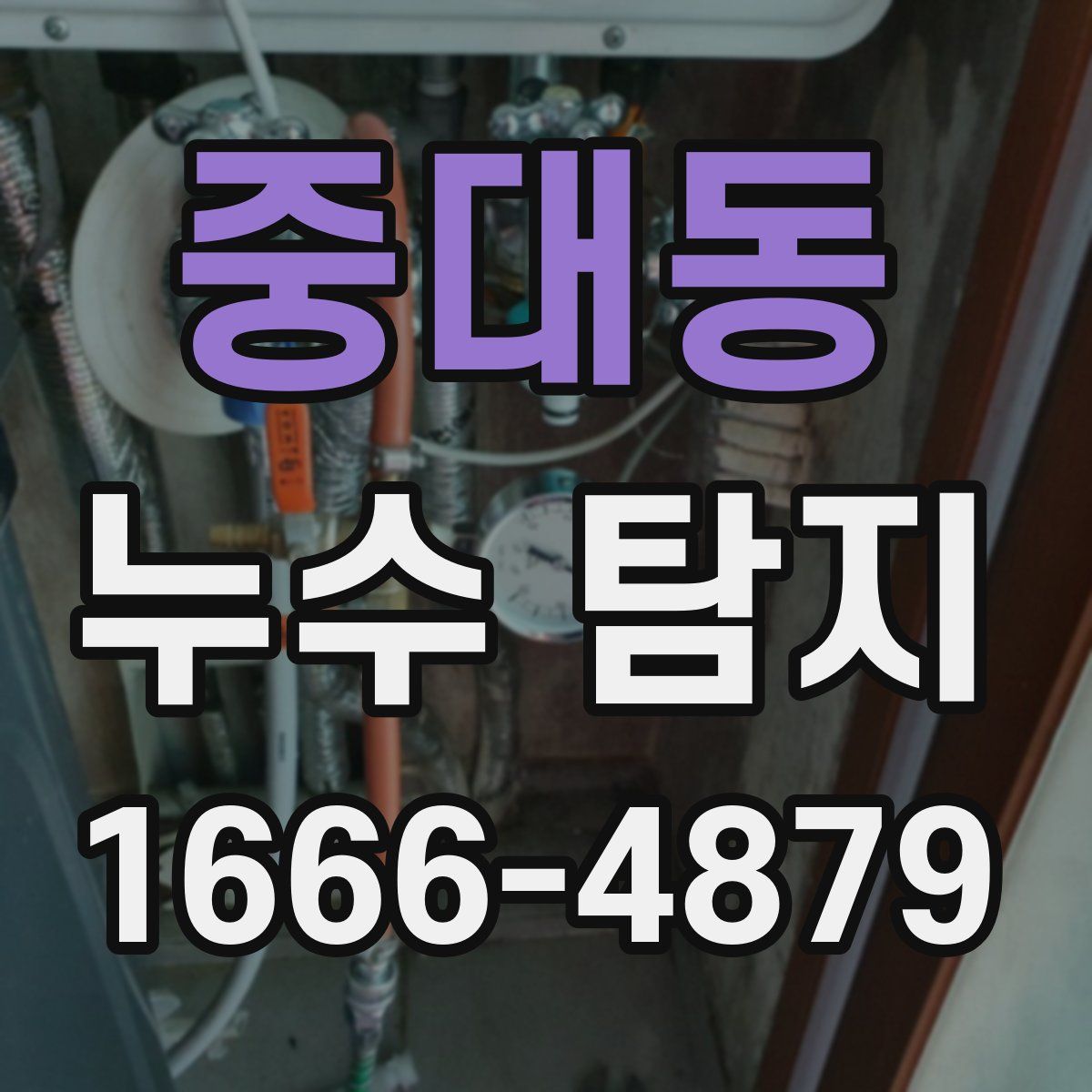 중대동 누수 탐지