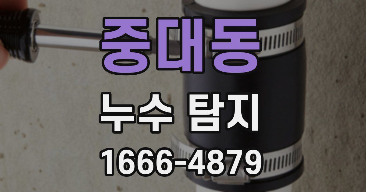 중대동 누수 탐지
