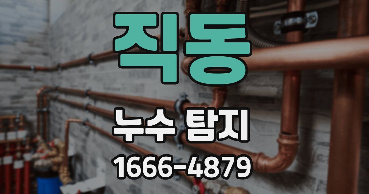 직동 누수 탐지
