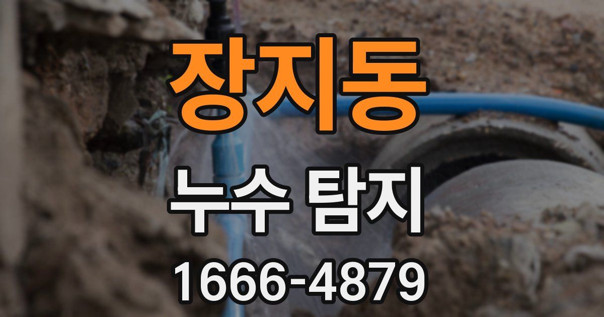 장지동 누수 탐지