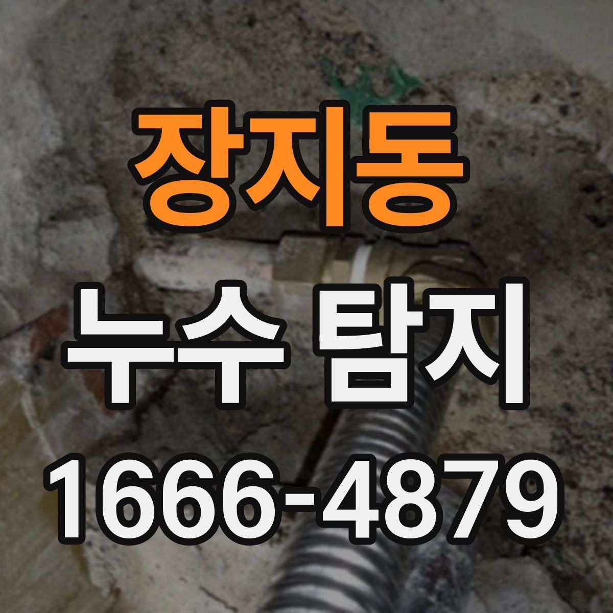 장지동 누수 탐지