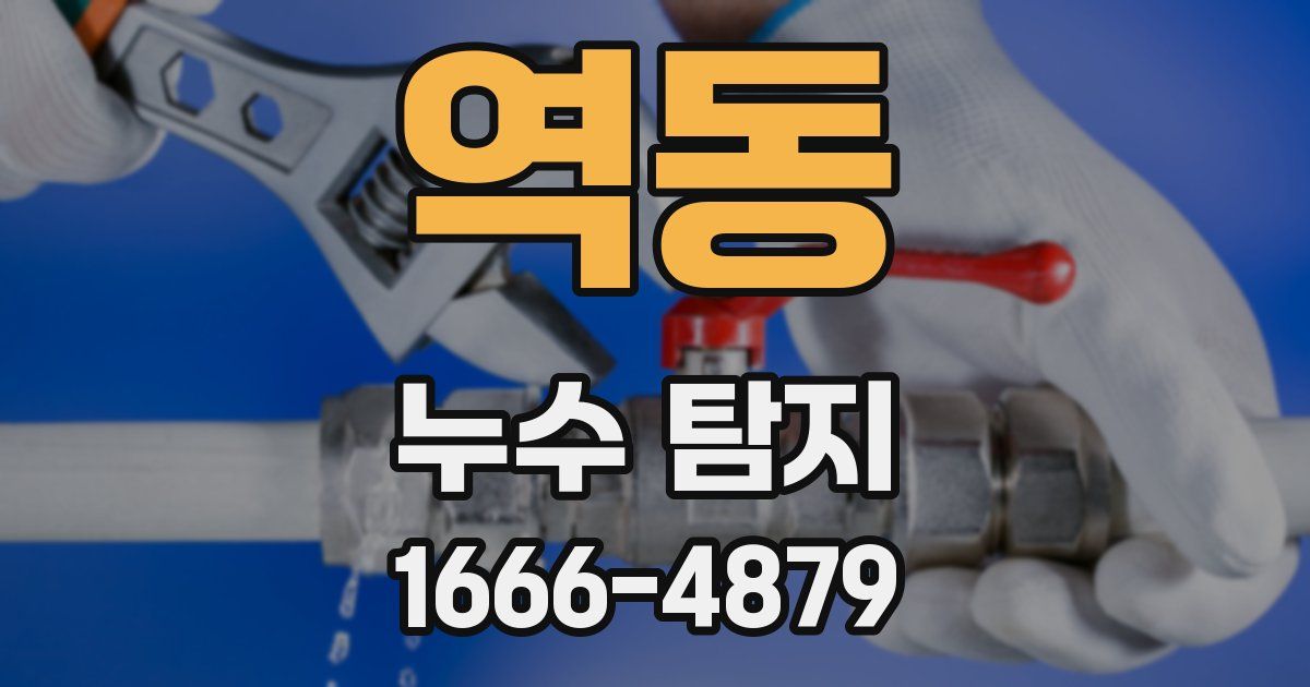 역동 누수 탐지