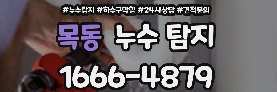 목동 누수 탐지
