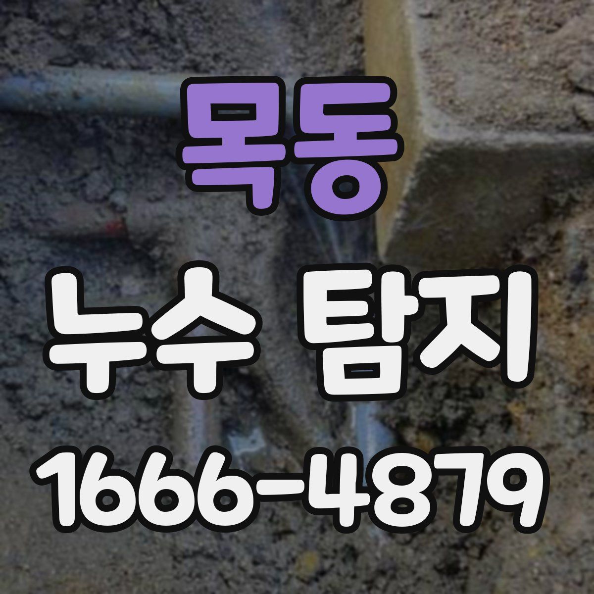 목동 누수 탐지