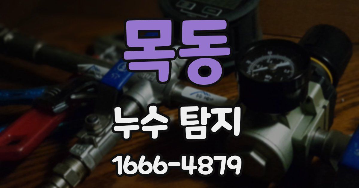 목동 누수 탐지