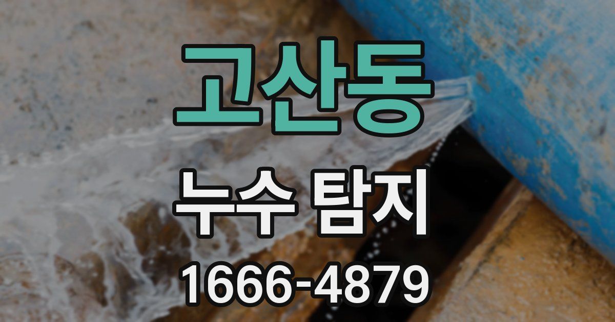 고산동 누수 탐지