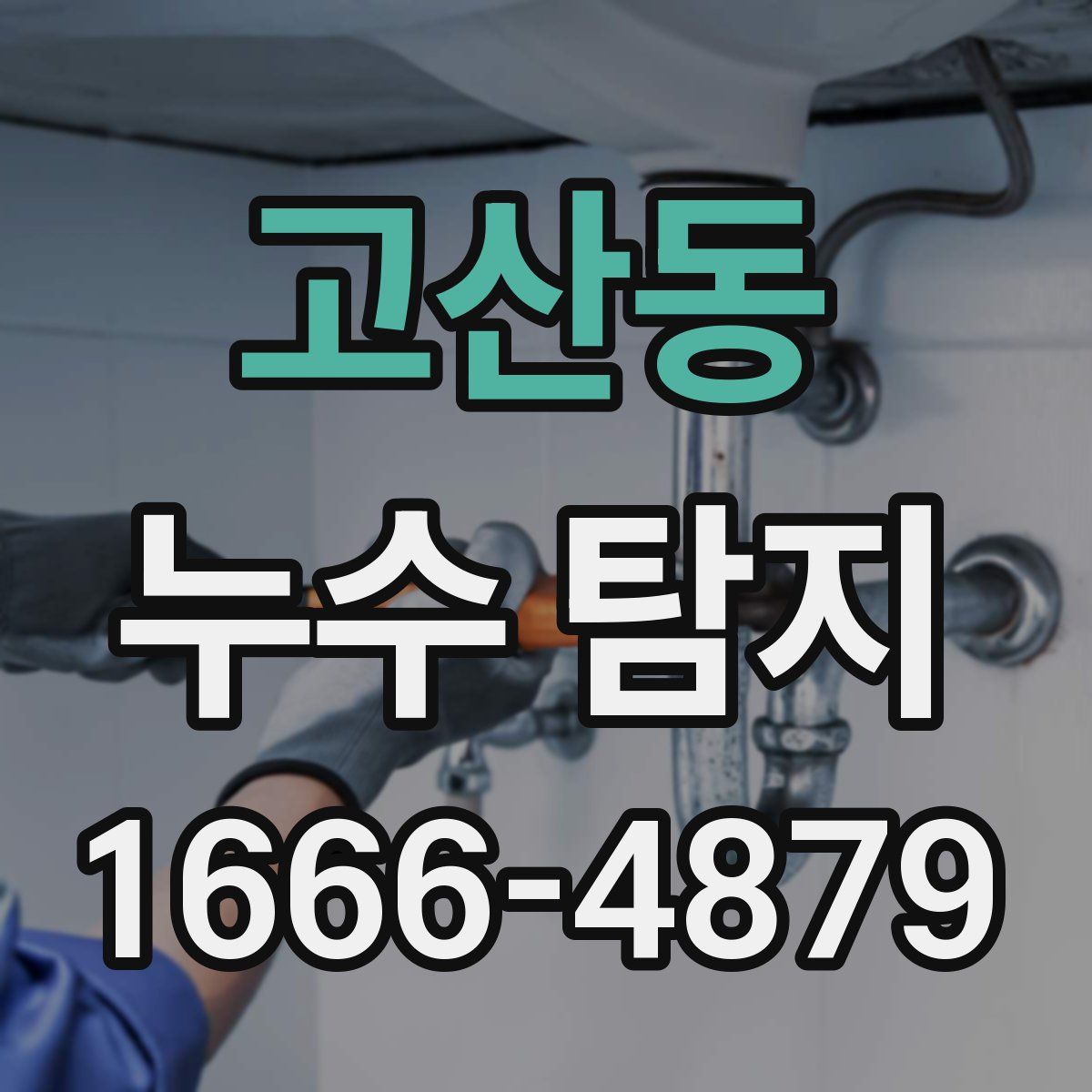 고산동 누수 탐지