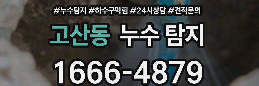 고산동 누수 탐지