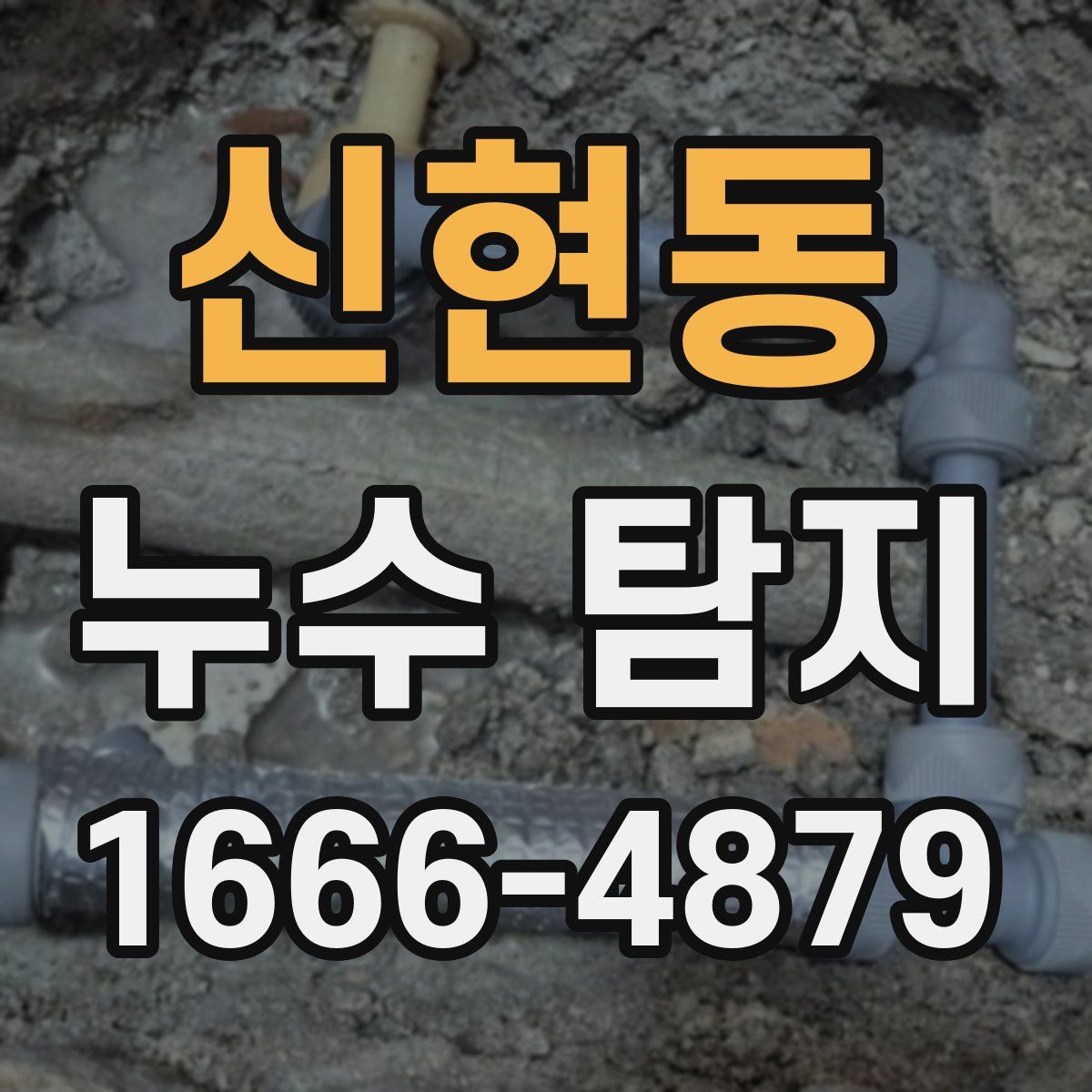 신현동 누수 탐지