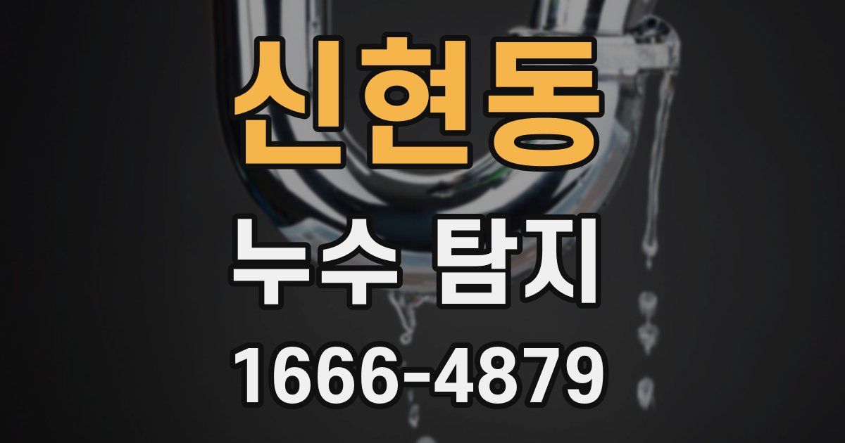 신현동 누수 탐지