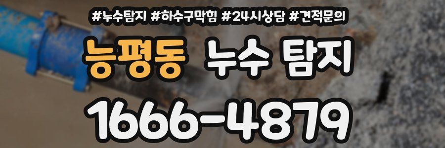능평동 누수 탐지