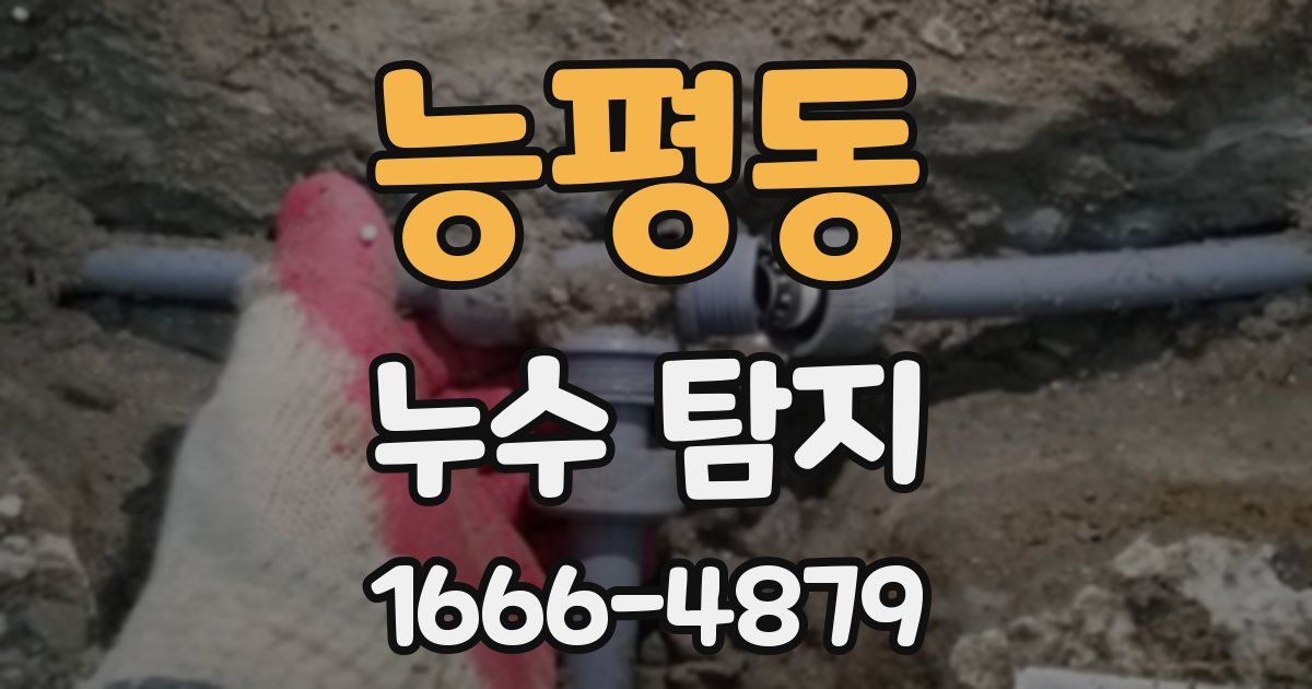능평동 누수 탐지